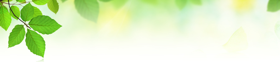 ���A�a�@���P